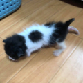 20180507125932