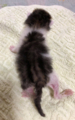 20180507130157