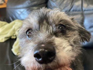 f:id:animal_protections:20220112163107j:plain