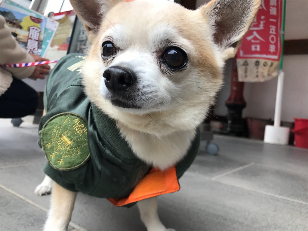 f:id:animalberry:20171213102131j:image f:id:animalberry:20171213102131j:image