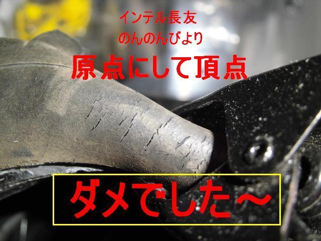 f:id:animalkun:20131023194650j:image:w640