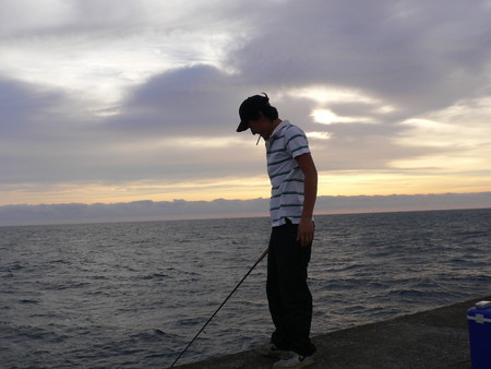 f:id:animalno1:20060828055220j:image