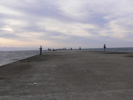 f:id:animalno1:20060828062817j:image