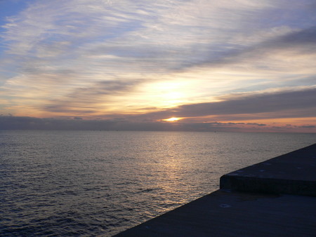 f:id:animalno1:20061018060534j:image