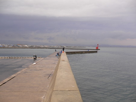 f:id:animalno1:20061107075603j:image