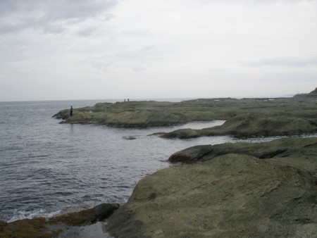 f:id:animalno1:20091002075432j:image