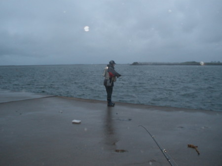 f:id:animalno1:20100513044239j:image