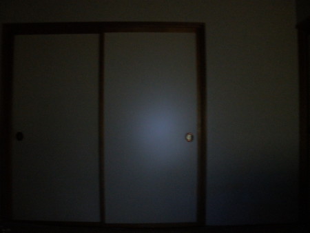f:id:animalno1:20101202233857j:image