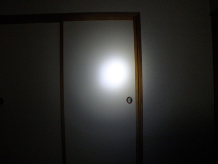 f:id:animalno1:20101202233949j:image