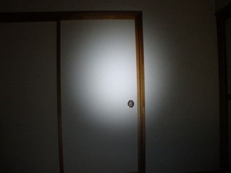 f:id:animalno1:20101202234114j:image
