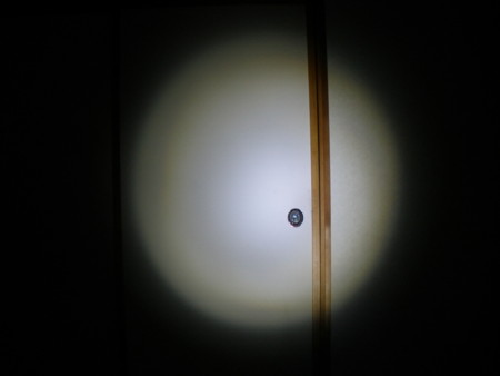f:id:animalno1:20101202235431j:image