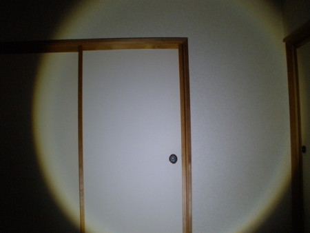 f:id:animalno1:20101202235454j:image