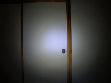 f:id:animalno1:20101203000507j:image