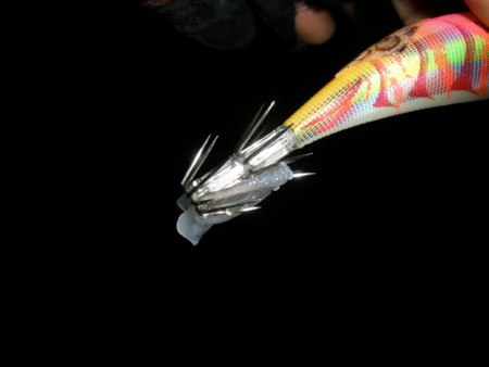 f:id:animalno1:20111014022846j:image