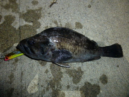 20120524014833