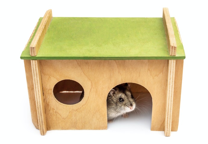 f:id:animalsguardian:20210216140130j:plain