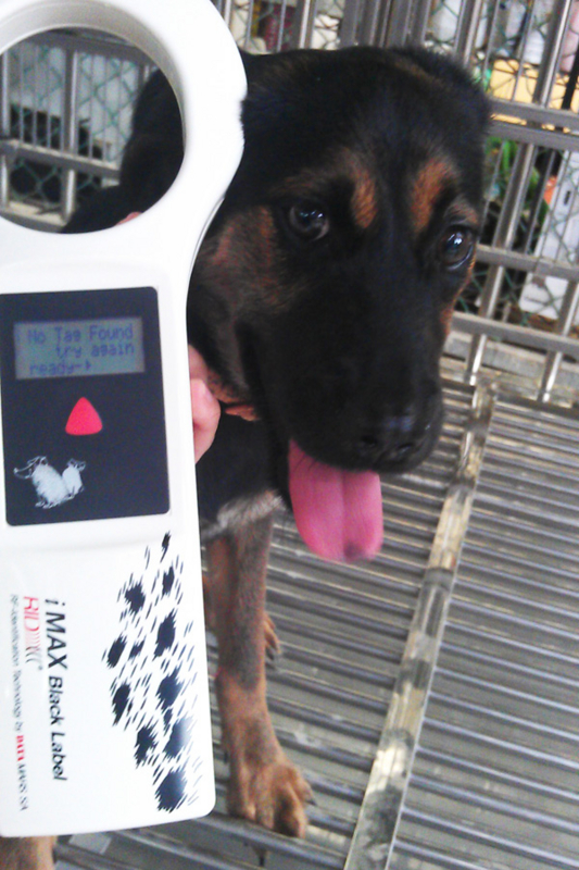 f:id:animalstaiwan:20130107113554j:image:w250