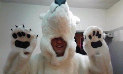 f:id:animamundi:20090516182552j:image