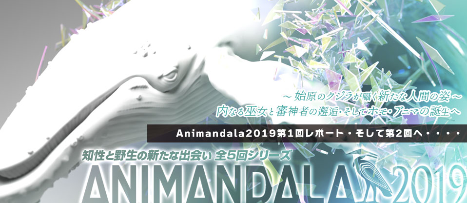 f:id:animandala:20190702134054j:plain f:id:animandala:20190702134054j:plain