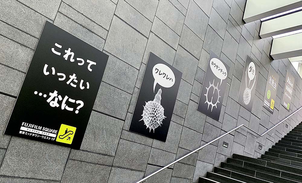 f:id:animandala:20190814021123j:plain f:id:animandala:20190814021123j:plain