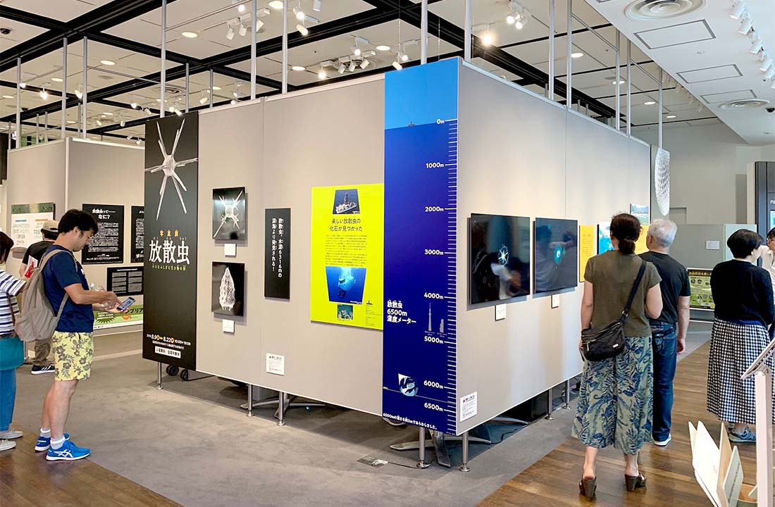 f:id:animandala:20190814021205j:plain f:id:animandala:20190814021205j:plain