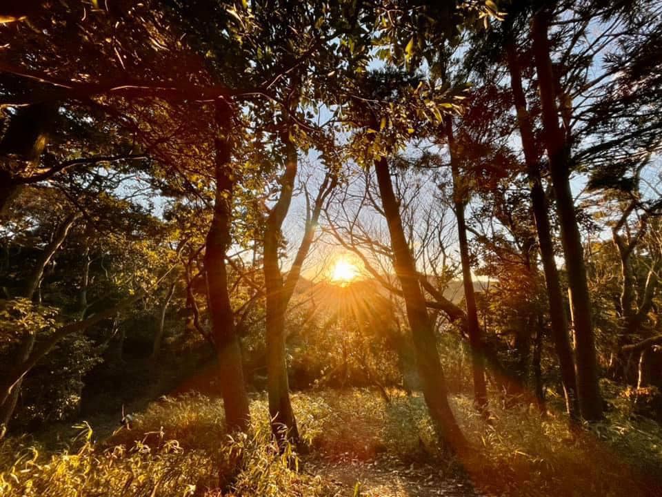 f:id:animandala:20210102181804j:plain