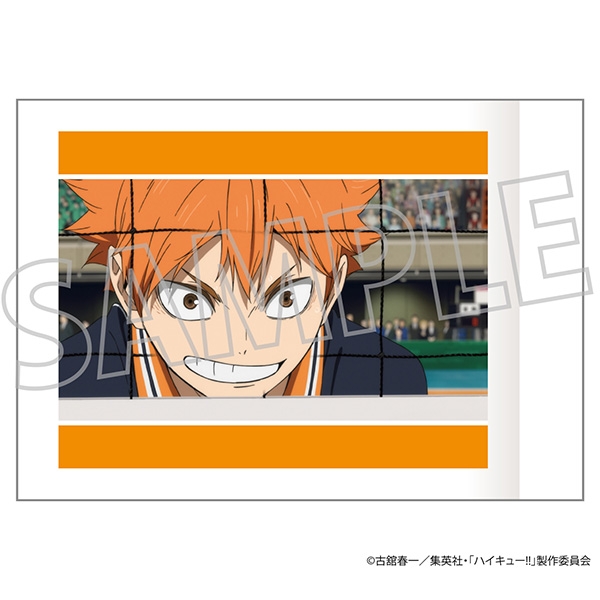 ハイキュー!! ゴミ捨て場の決戦 ぱしゃこれ Vol.2 日向翔陽 9枚