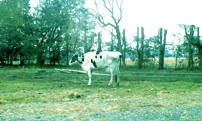 f:id:aniotahosyu:20110207025937j:image