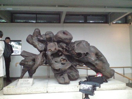 f:id:aniotahosyu:20110511164513j:image