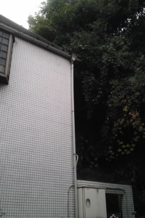 f:id:aniotahosyu:20121105224725j:image