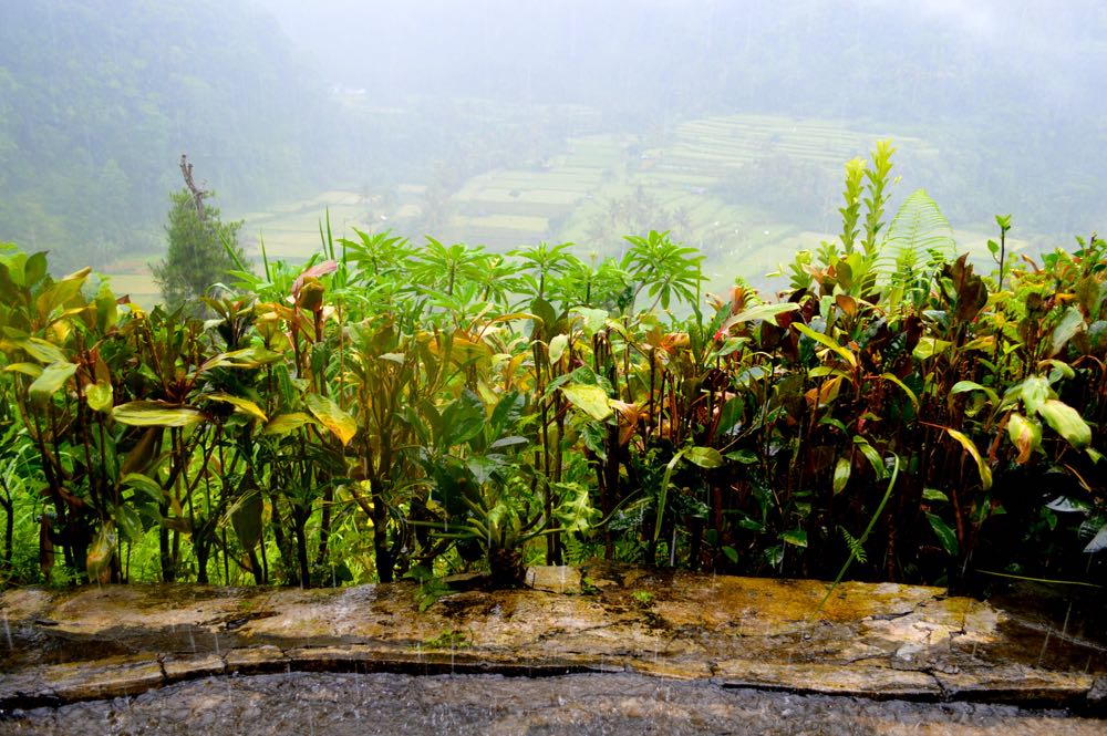 f:id:aniram-czech:20170104195112j:plain f:id:aniram-czech:20170104195112j:plain