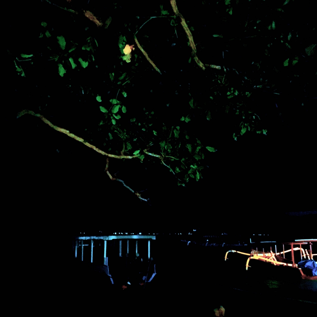 f:id:aniram-czech:20170115112153j:plain f:id:aniram-czech:20170115112153j:plain