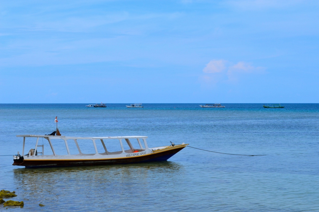 f:id:aniram-czech:20170115234411j:plain f:id:aniram-czech:20170115234411j:plain