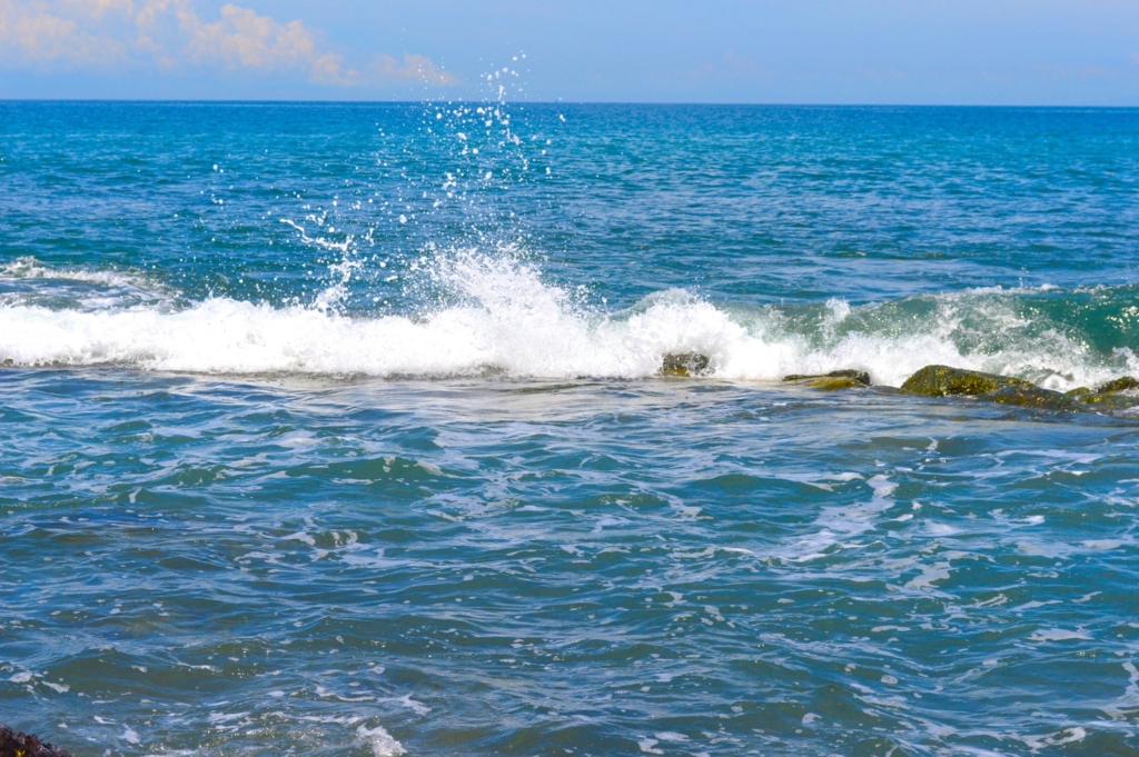 f:id:aniram-czech:20170116010321j:plain f:id:aniram-czech:20170116010321j:plain