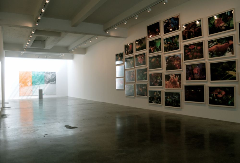 f:id:aniram-czech:20171126013430j:plain f:id:aniram-czech:20171126013430j:plain