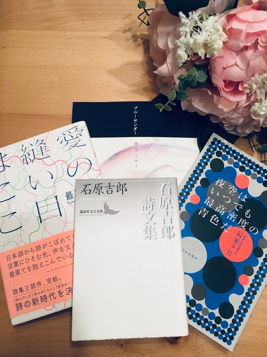 21 01 01 ブックオフセールで買った本と今年初読書 Aniron