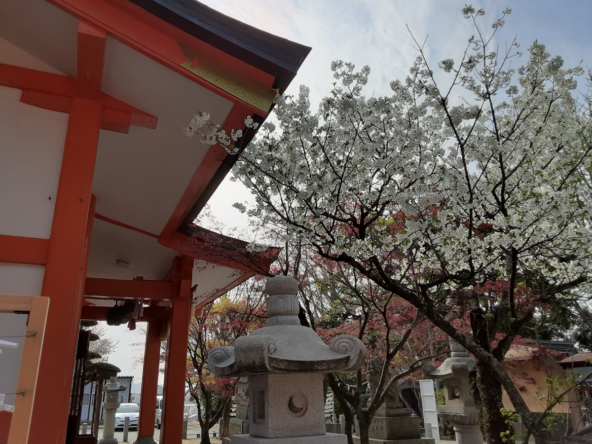 f:id:anisaku:20210324203953j:plain