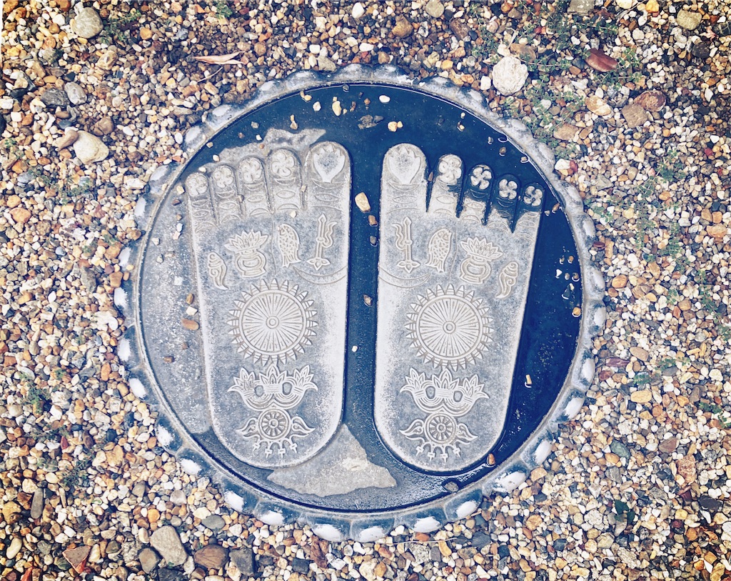 お墓参りは蜂と戦う覚悟 あんの絵日記