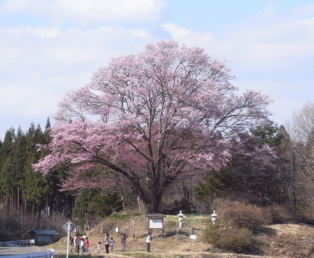 f:id:anjuhime954:20090501153549j:image