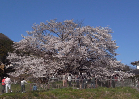 f:id:anjuhime954:20090501161628j:image