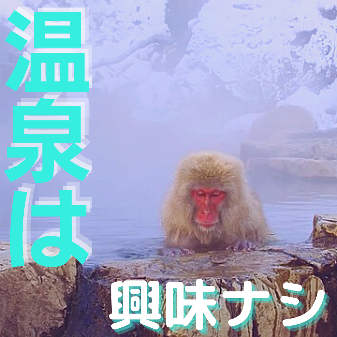 f:id:anjyumikaura:20210531092831p:plain