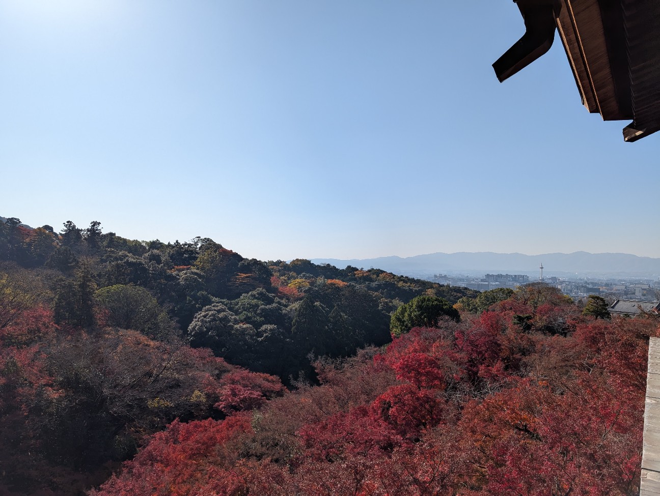 f:id:ankakeassa:20251231223401j:image