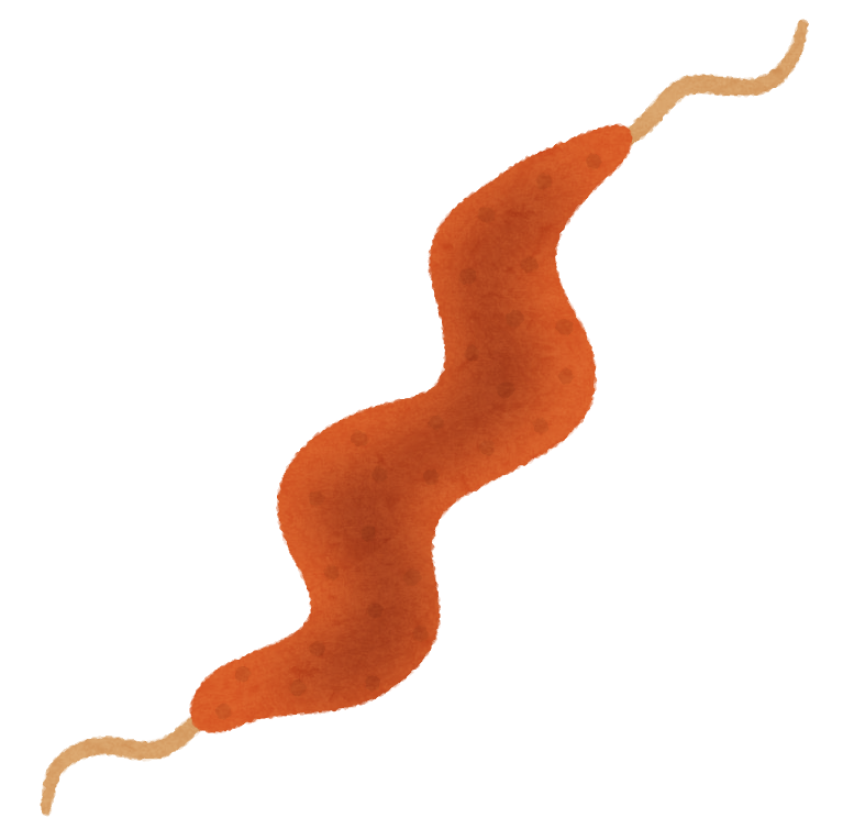 f:id:ankinchang:20200219140148p:plain