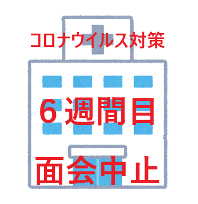 f:id:ankinchang:20200405095004p:plain