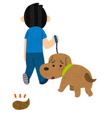 f:id:ankinchang:20200711064722j:plain f:id:ankinchang:20200711064722j:plain