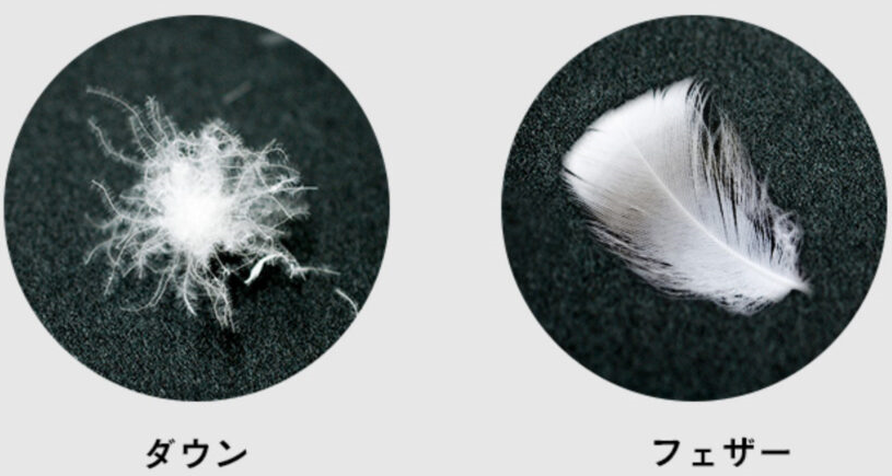 f:id:ankinchang:20220324030609p:plain