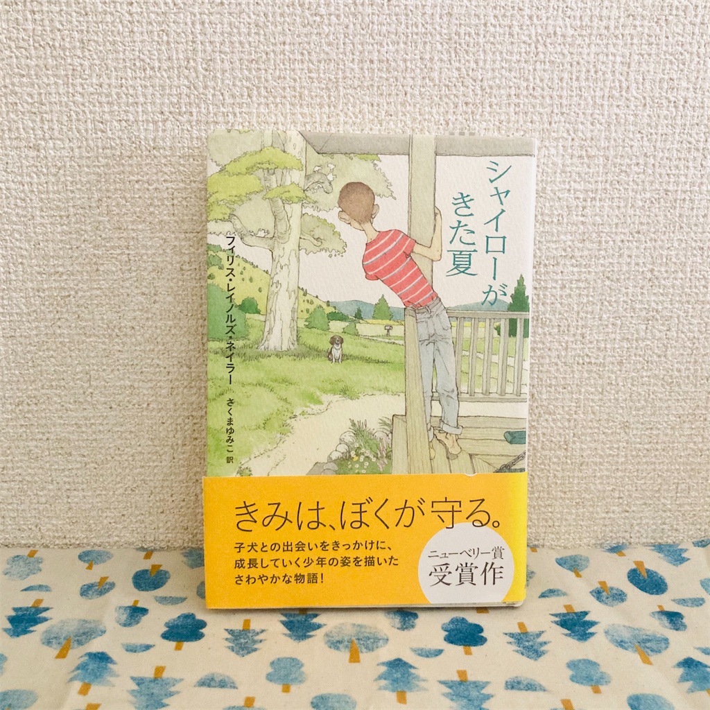 f:id:anko_tyk:20240912200129j:image f:id:anko_tyk:20240912200129j:image