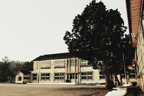 オトナ高校 ８話感想 童貞処女卒業よりも大事なことは 恋をすること Anko Alive