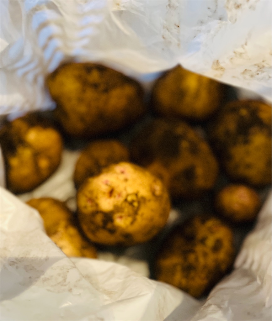 f:id:ankoen:20220606131546j:image