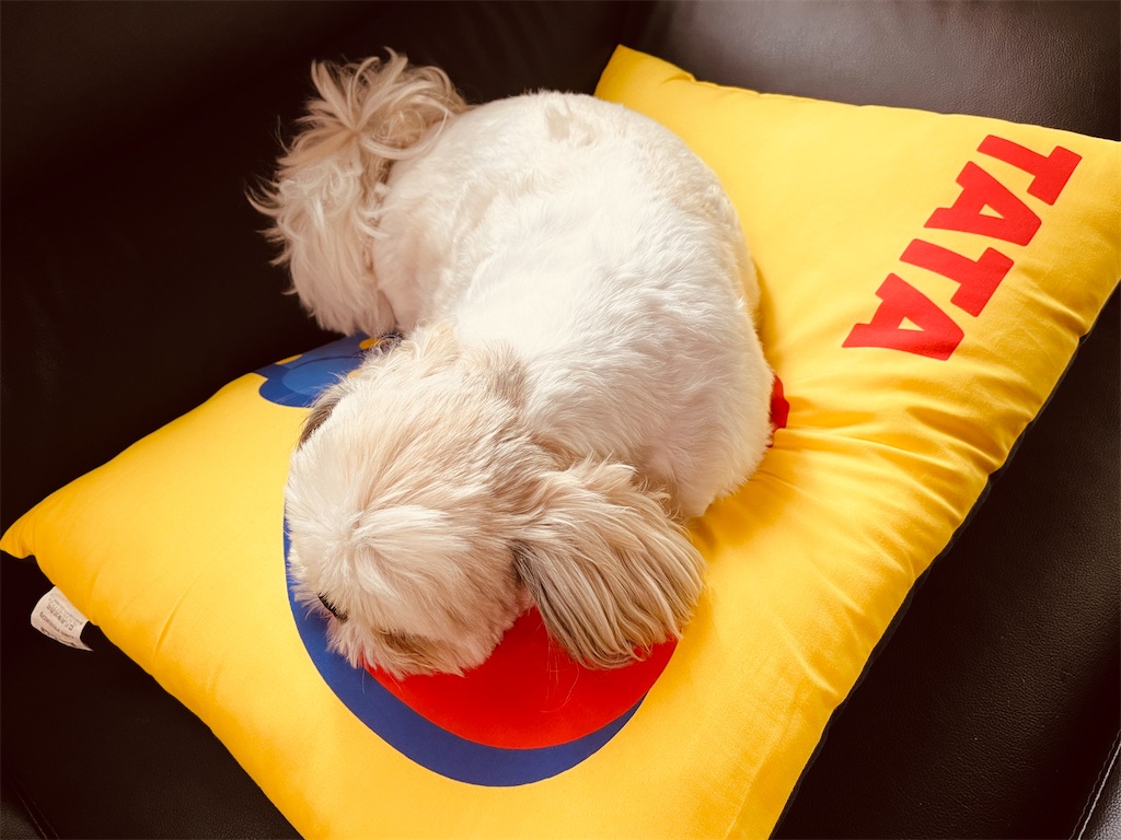f:id:ankoen:20220707170936j:image f:id:ankoen:20220707170936j:image